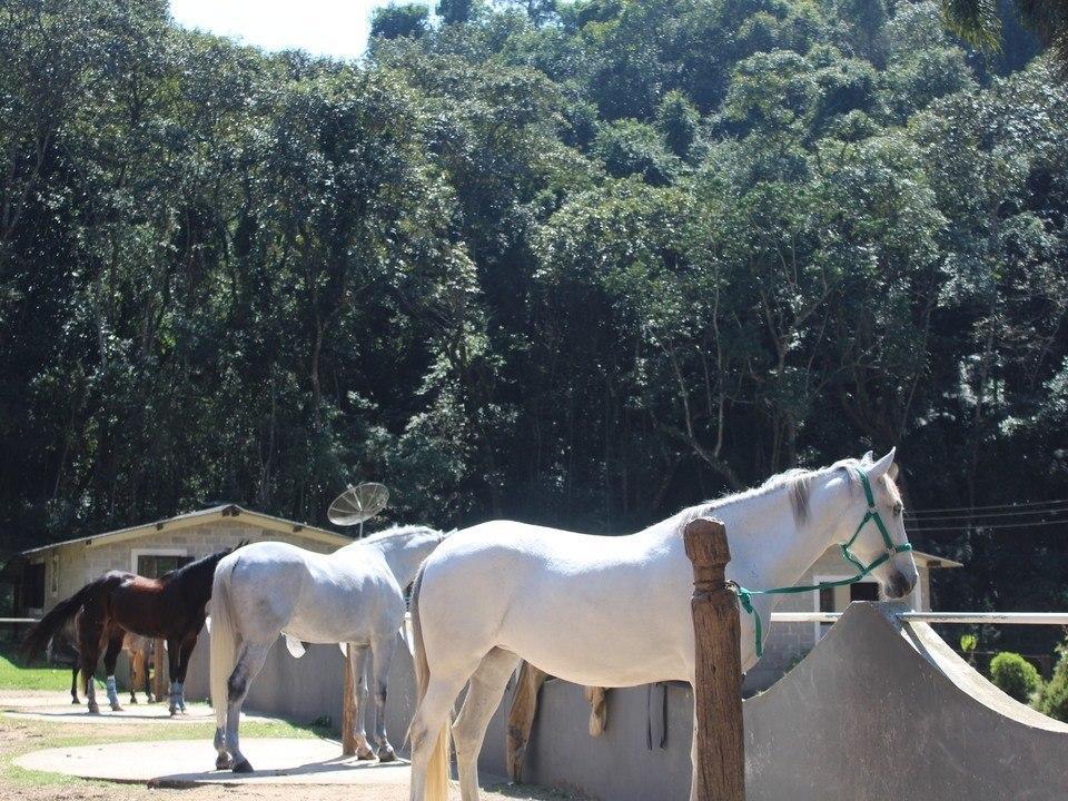 Hotel Fazenda Apm Caieiras Εξωτερικό φωτογραφία
